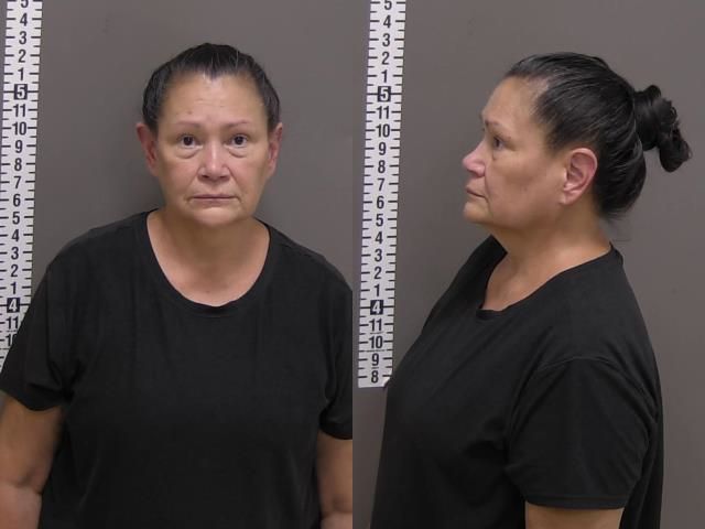 Mugshot of PAMELA FAY HOLYBULL
