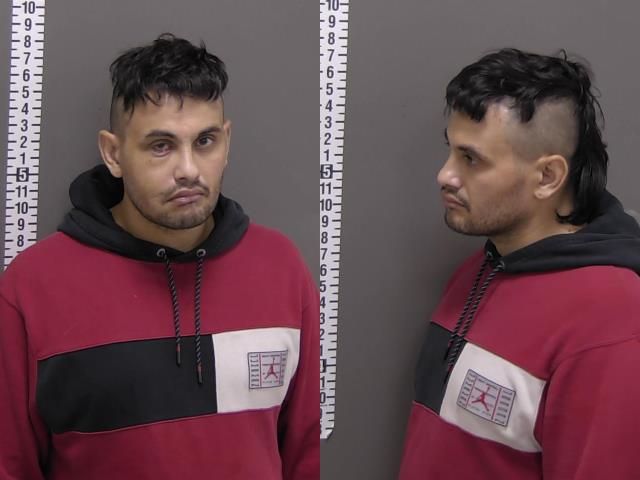 Mugshot of SCOTT ALVIN RAU