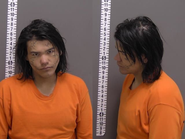 Mugshot of TERELL JAMES DECOTEAU
