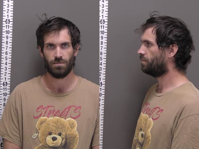Mugshot of LOGAN SCOTT WENSTAD
