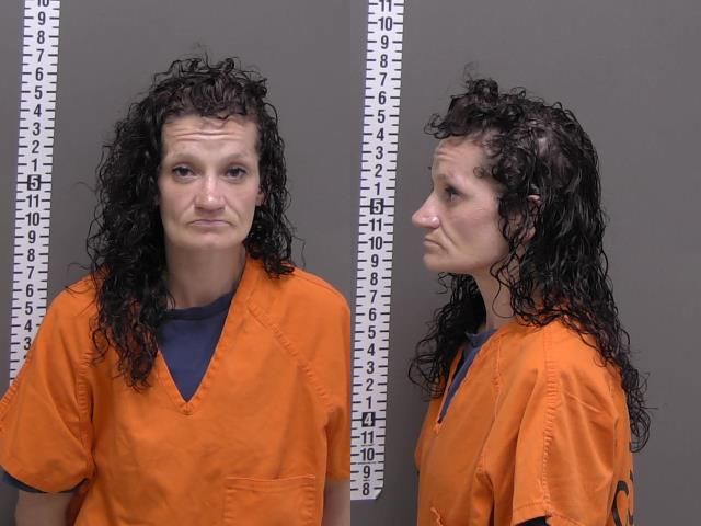 Mugshot of SARAH HOSELTON