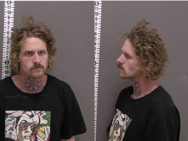 Mugshot of DILLON JAMES ASLESON
