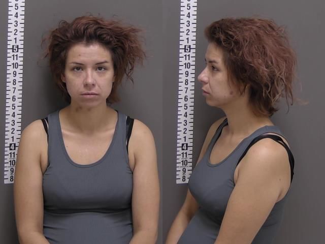 Mugshot of ROBIN ROSE MORIN