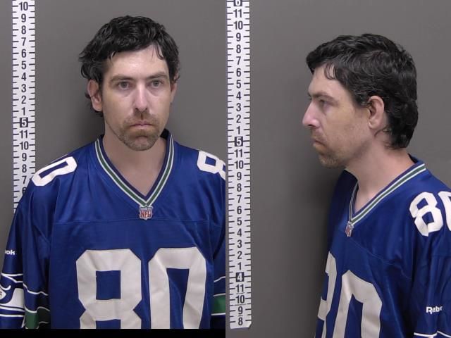 Mugshot of ANDREW LEON PERHUS