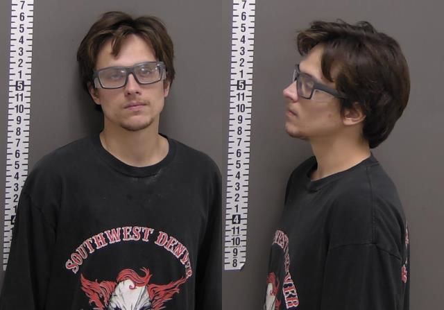Mugshot of TAYVEN ALDINGER