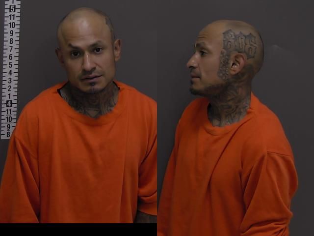 Mugshot of GERALDO TORRES
