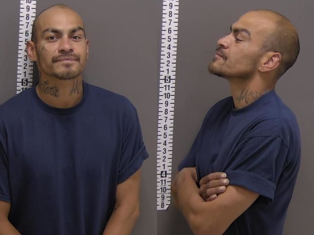Mugshot of IRVIN LEO PELTIER