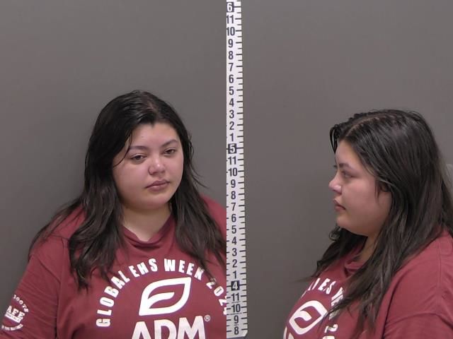 Mugshot of MARY MARIE DELANEY