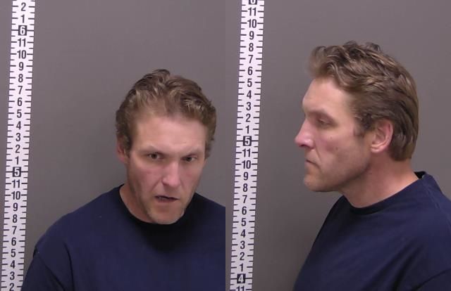 Mugshot of AARON WAYNE ANDERSON