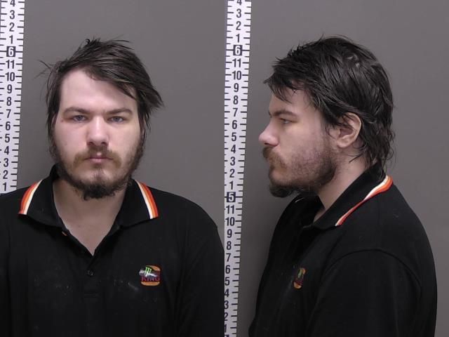 Mugshot of DEVON MCCOY SHEALY