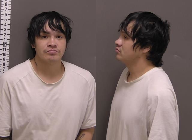Mugshot of TREVOR JAMIL ALBERTS