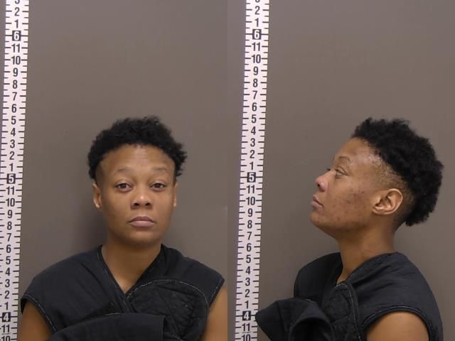 Mugshot of TAMEKA DENISE HOLLAND