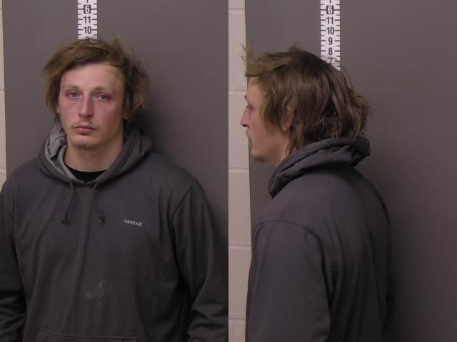 Mugshot of ROBERT GRAY WHITMAN