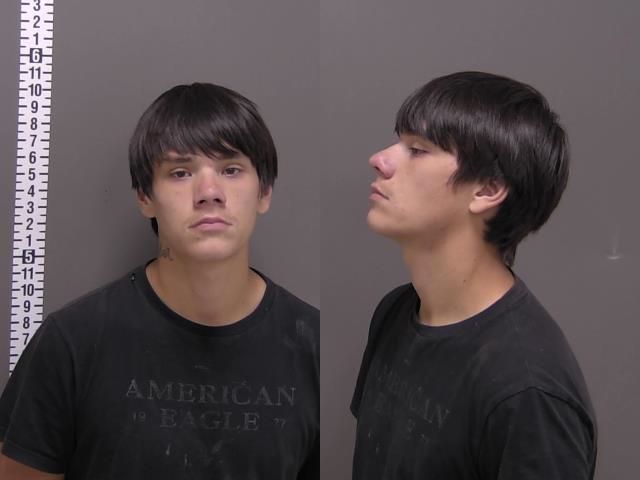 Mugshot of JARAE JARROD HARLES
