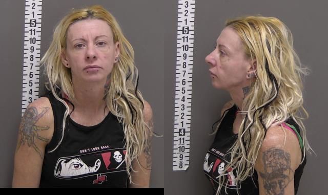 Mugshot of AMY NICHOLE WELLS