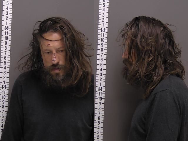 Mugshot of TIMOTHY PAUL WINDELS
