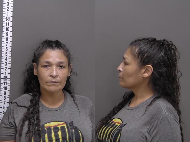 Mugshot of LIZA ROSE RENCOUNTRE