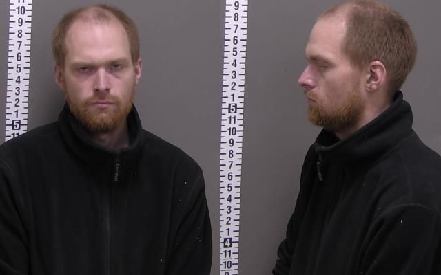 Mugshot of WARREN MICHAEL MISEVICH