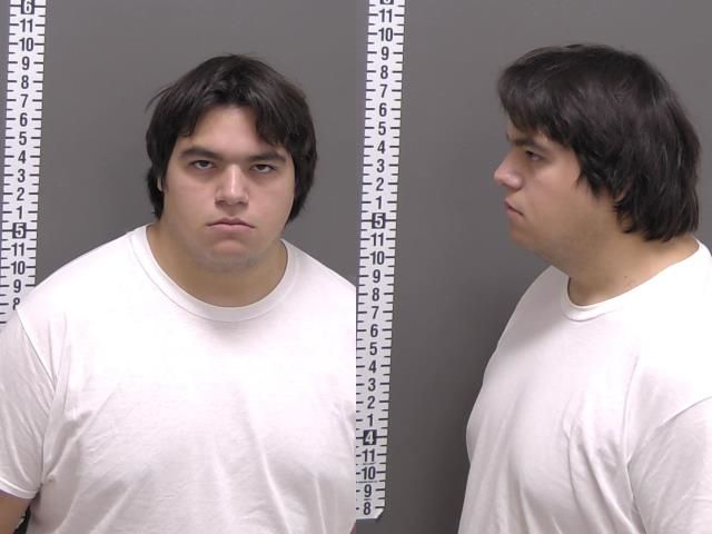 Mugshot of DILLAN SANTOS MCELVENEY