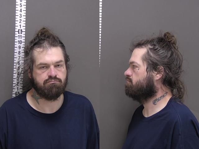 Mugshot of SEAN MICHAEL FERGUSON