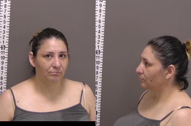 Mugshot of TANYA KAY MARTIN