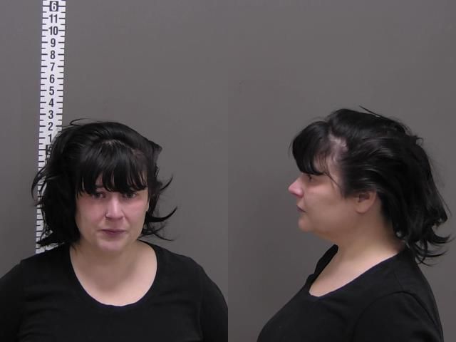 Mugshot of JANNA GAYLE HANSEN
