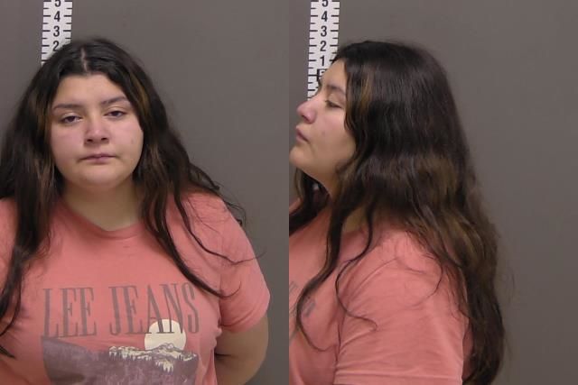 Mugshot of KRISTINA LOUISE WENZL