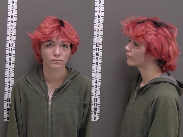 Mugshot of SHELBY FAY GOODMAN