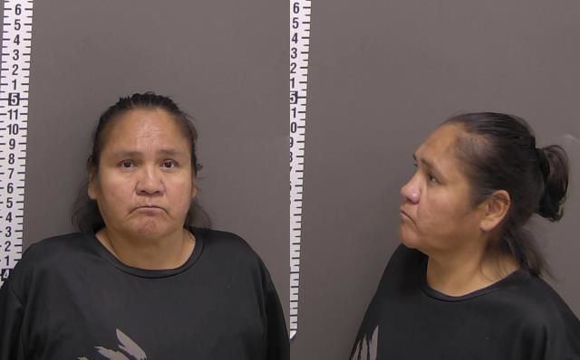 Mugshot of LISA ANN NICKELSON