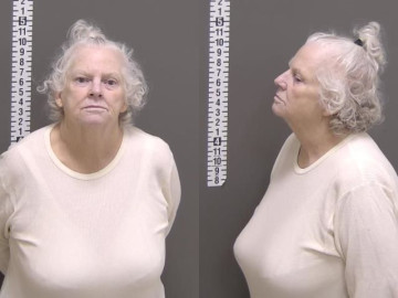 Mugshot of GINGER LORRINE LEMONS