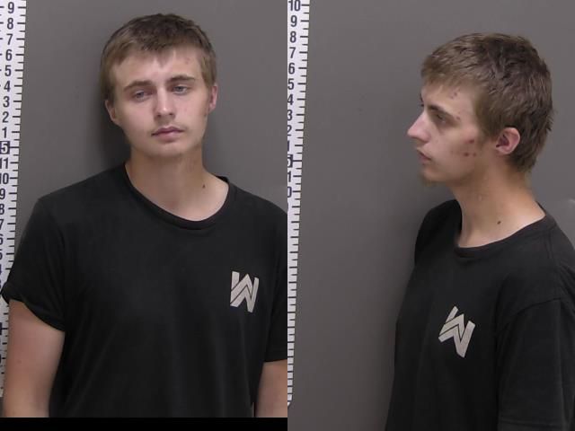 Mugshot of GAUGE MARTIN WOLD