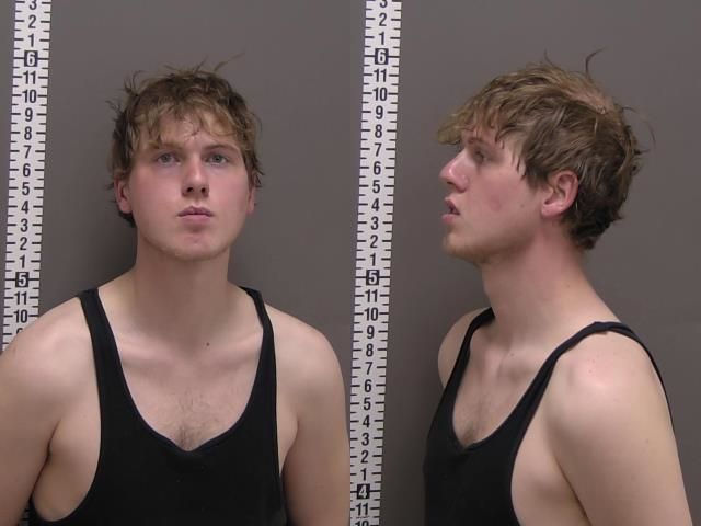 Mugshot of AIDEN ALLAN BROWN