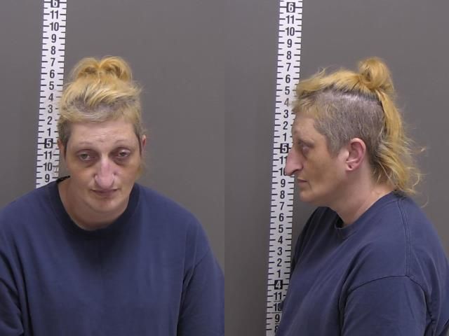 Mugshot of CASSANDRA LEE DAVISON