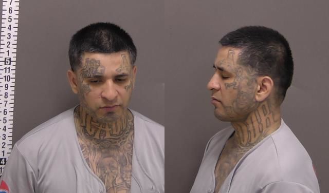 Mugshot of JESSE IBARRA ORTEGA