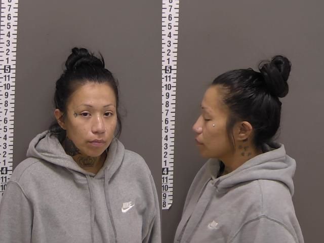 Mugshot of ELENA GALAVIZ