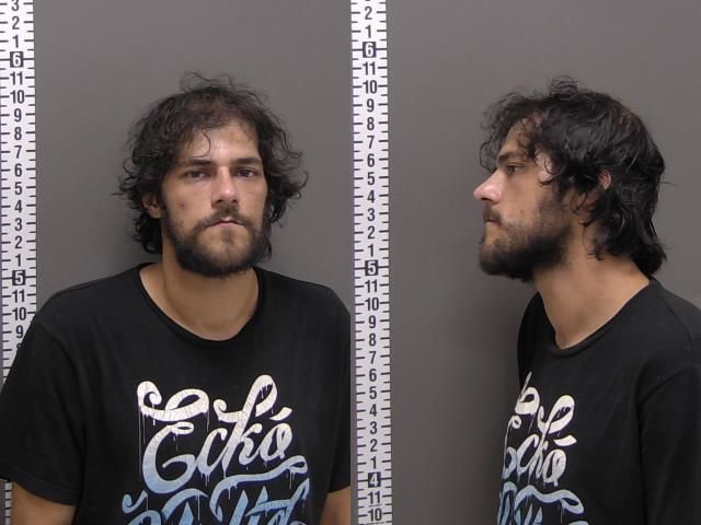 Mugshot of SKYLER MICHAEL MILLER