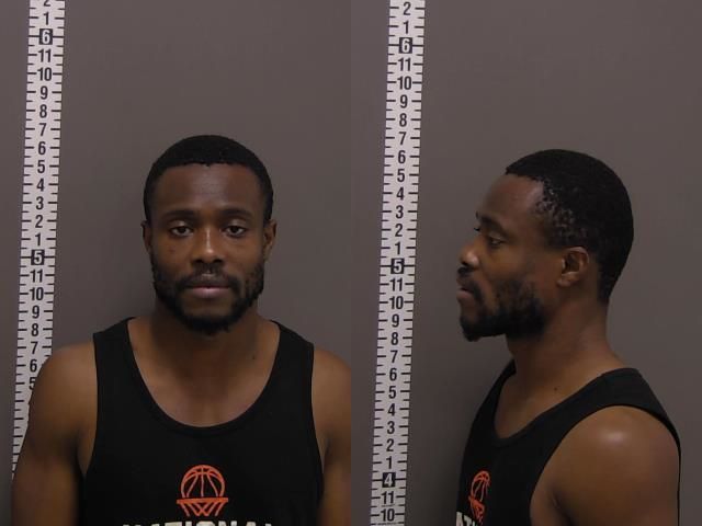 Mugshot of THEO SUNNYBOY GRAY