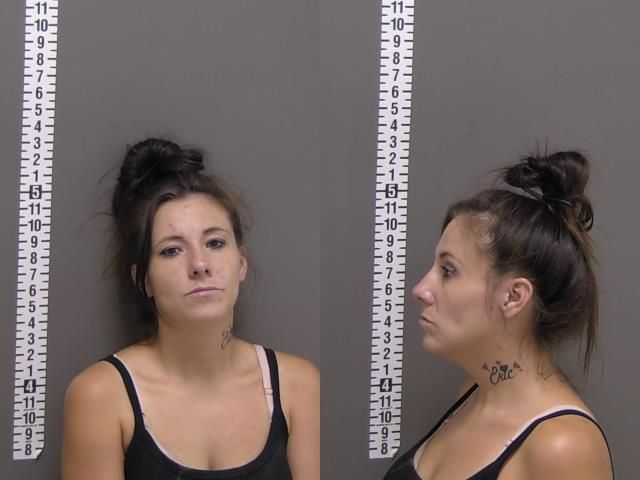 Mugshot of DANIELLE RENA FLEETWOOD