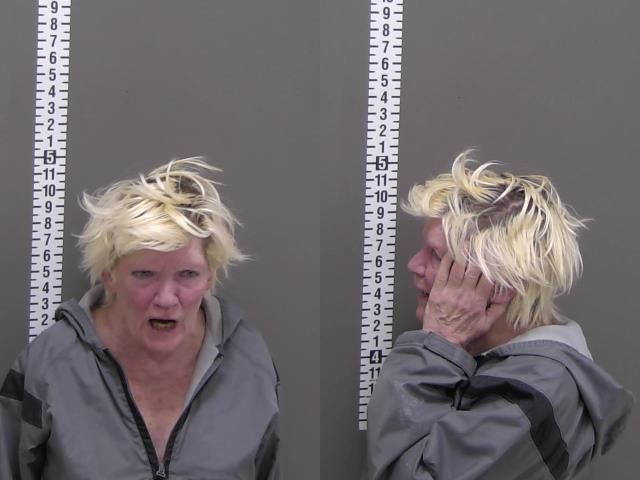 Mugshot of JAMIE ELLEN SKJONSBY