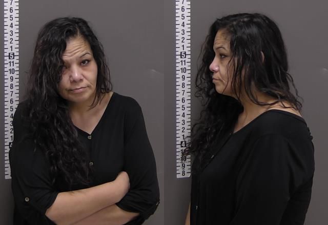 Mugshot of VANESSA VERA HEMINGER