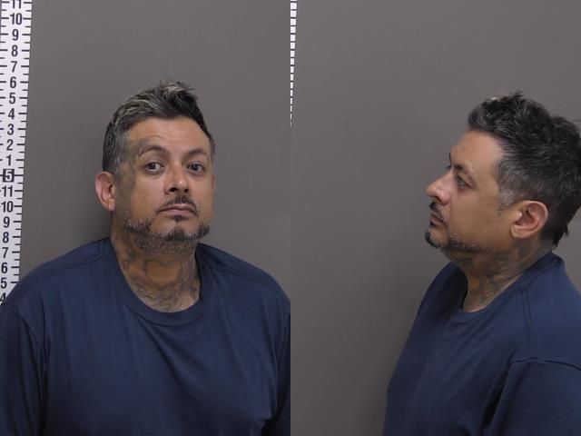 Mugshot of LUIS FLORES