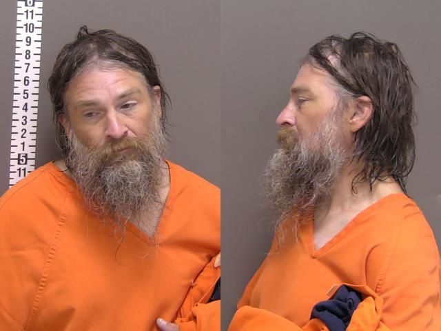 Mugshot of PAUL JOHAN HAMAN