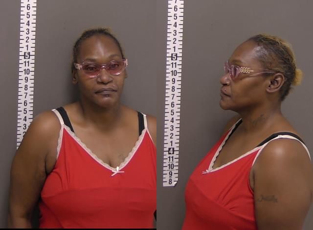 Mugshot of TANISHA KALIN RAY WILLIAMS