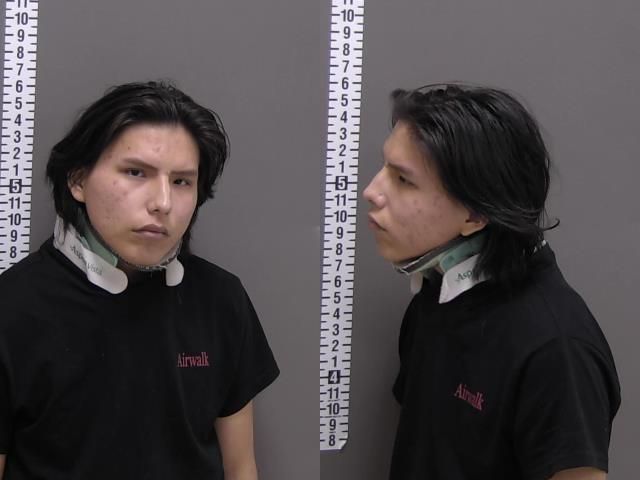 Mugshot of HOLDEN RHYS LEE