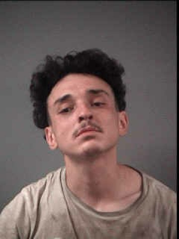 Mugshot of CASEY MAY HONKOLA