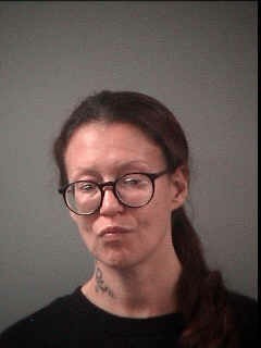 Mugshot of DAWN MARIE GOULET