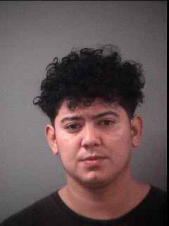 Mugshot of VANESSA LISETTE VIDES CASTELLON