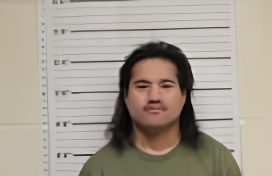 Mugshot of DOMINIC NOVAK