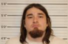 Mugshot of BRYSON ROBERTSON