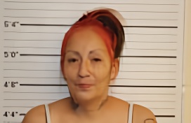 Mugshot of KELLI BIRDHORSE